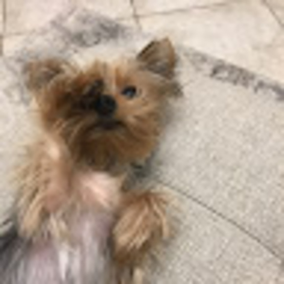 nini_gallego